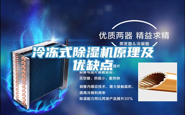 冷凍式草莓小视频黄色原理及優缺點