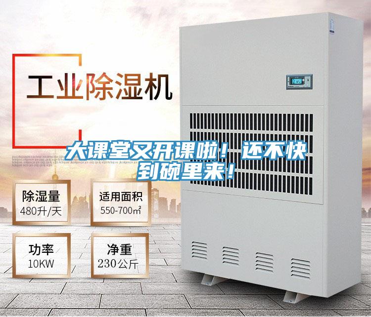 大課堂又開課啦！還不快到碗裏來！