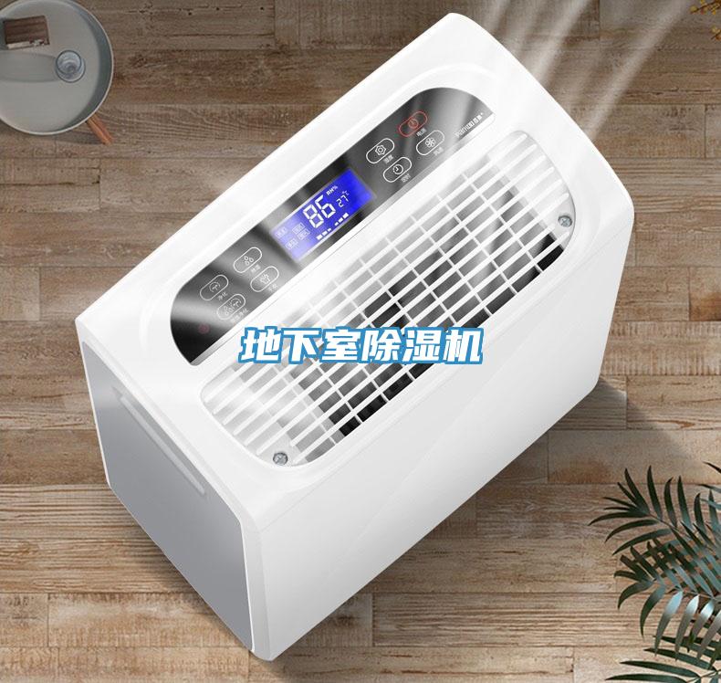 地下室草莓小视频黄色