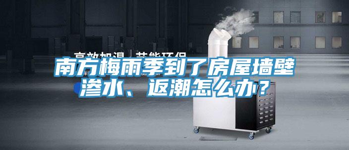 南方梅雨季到了房屋牆壁滲水、返潮怎麽辦？