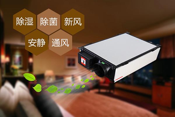 工業草莓小视频黄色使紡織庫房不受潮濕影響