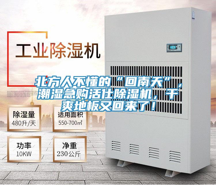 北方人不懂的“回南天”，潮濕急購活仕草莓小视频黄色，幹爽地板又回來了！