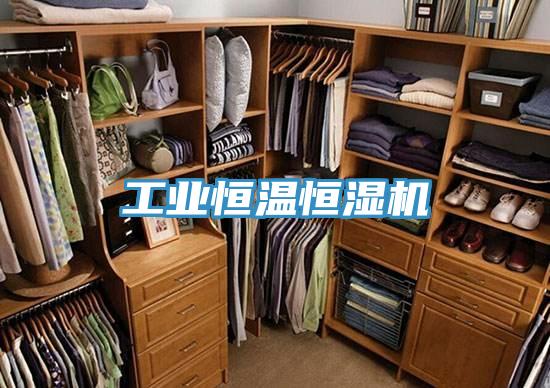 工業恒溫恒濕機