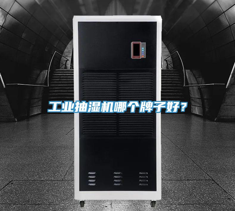 工業抽濕機哪個牌子好？