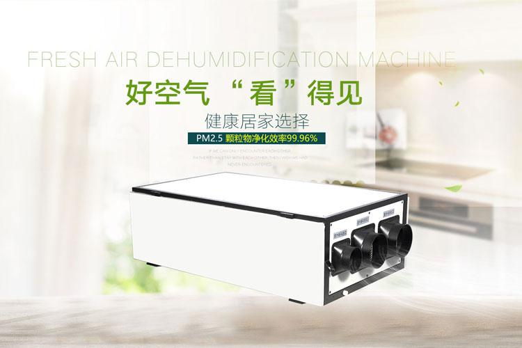 工業草莓小视频黄色主要應用在哪些範圍