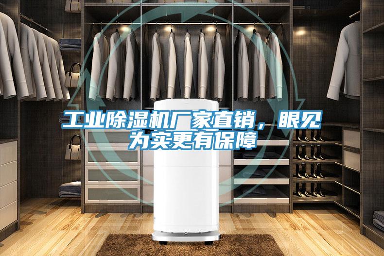 工業草莓小视频黄色廠家直銷，眼見為實更有保障