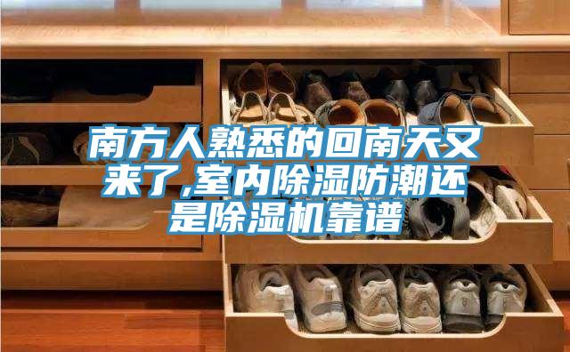 南方人熟悉的回南天又來了,室內除濕防潮還是草莓小视频黄色靠譜