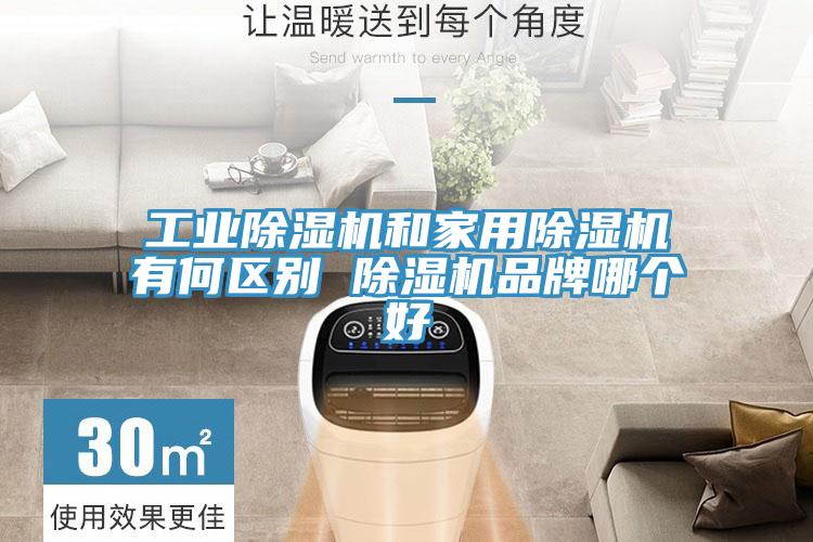 工業草莓小视频黄色和家用草莓小视频黄色有何區別 草莓小视频黄色品牌哪個好