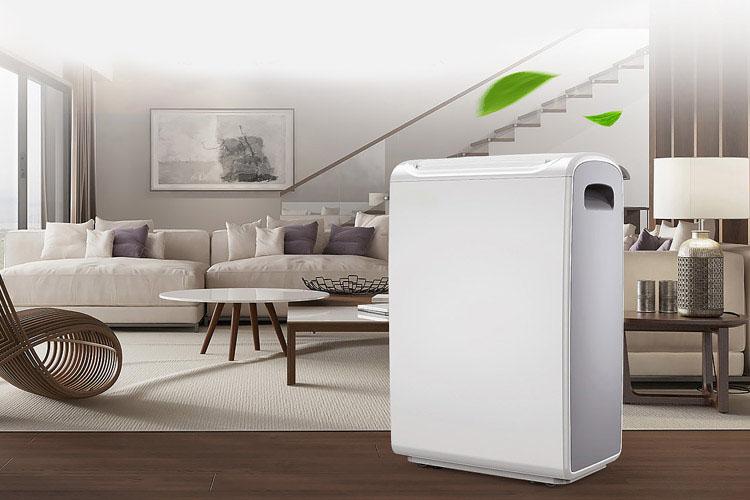 去甲醛用新風草莓小视频黄色