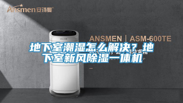 地下室潮濕怎麽解決？地下室新風除濕一體機