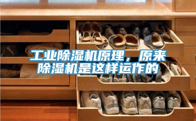 工業草莓小视频黄色原理，原來草莓小视频黄色是這樣運作的