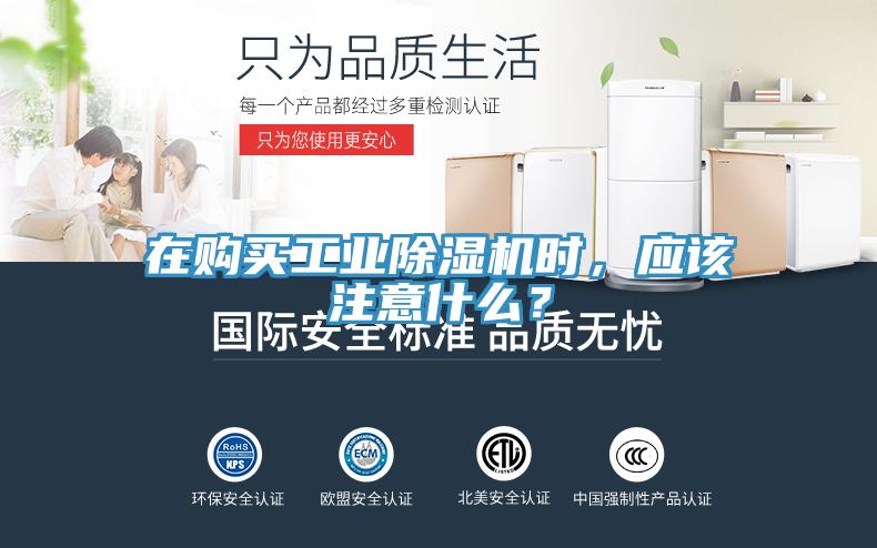 在購買工業草莓小视频黄色時，應該注意什麽？