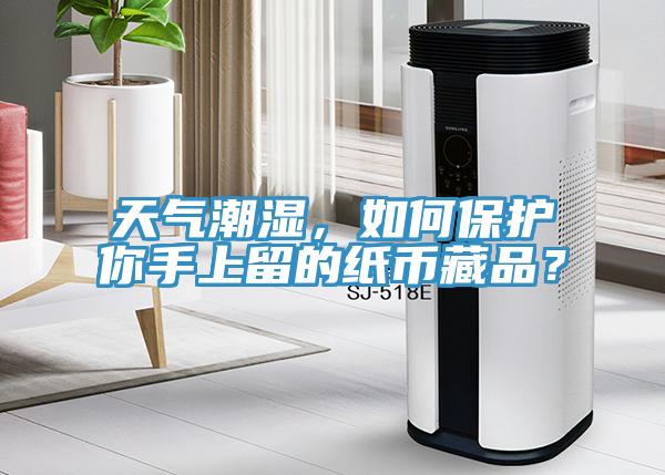 天氣潮濕，如何保護你手上留的紙幣藏品？