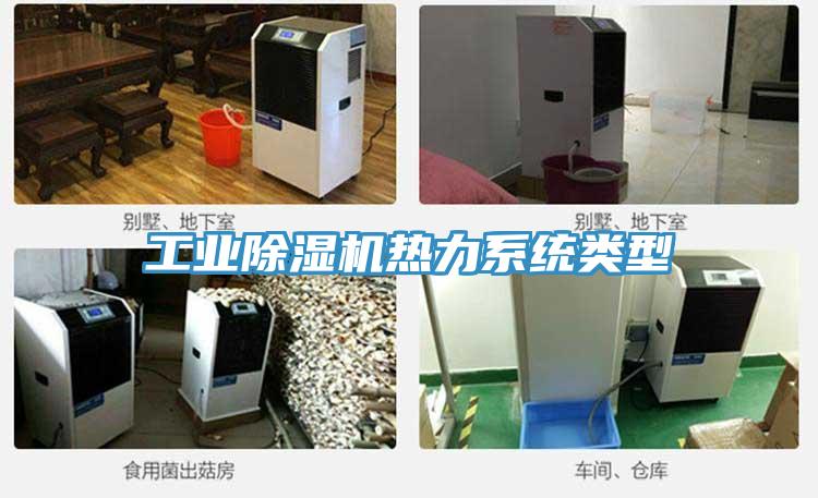 工業草莓小视频黄色熱力係統類型