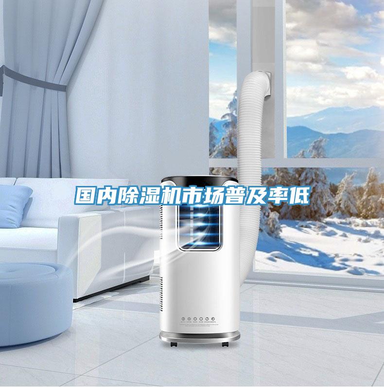 國內草莓小视频黄色市場普及率低