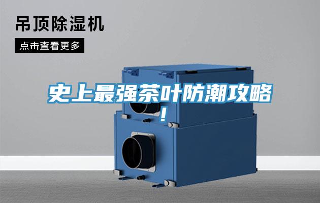 史上最強茶葉防潮攻略！