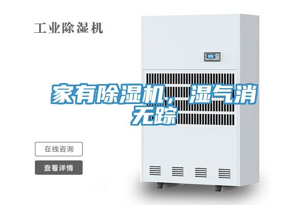 家有草莓小视频黄色，濕氣消無蹤