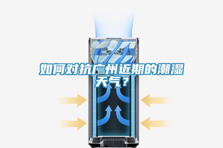 如何對抗廣州近期的潮濕天氣？