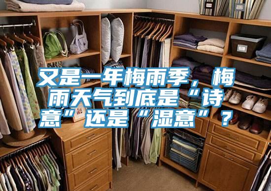 又是一年梅雨季，梅雨天氣到底是“詩意”還是“濕意”？