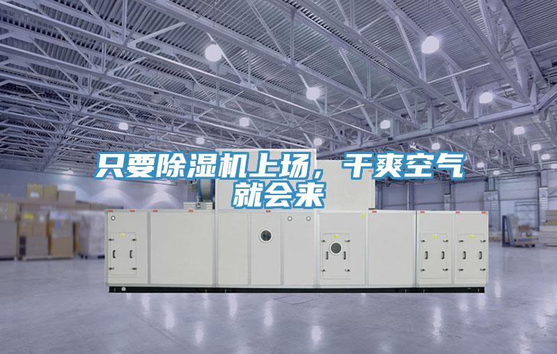 隻要草莓小视频黄色上場，幹爽空氣就會來