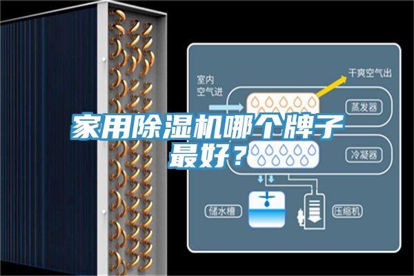 家用草莓小视频黄色哪個牌子最好？