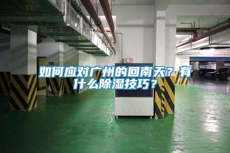 如何應對廣州的回南天？有什麽除濕技巧？