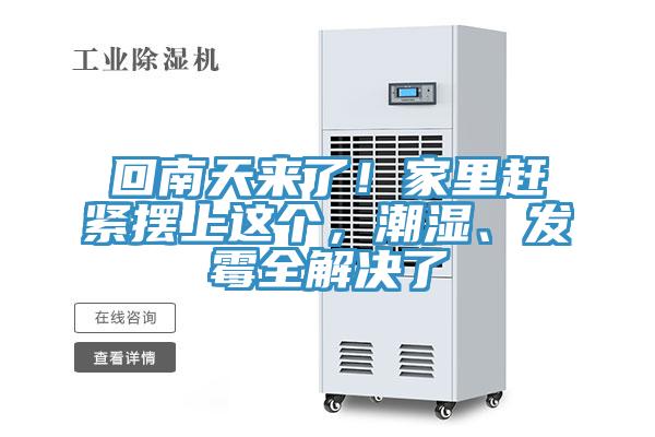 回南天來了！家裏趕緊擺上這個，潮濕、發黴全解決了