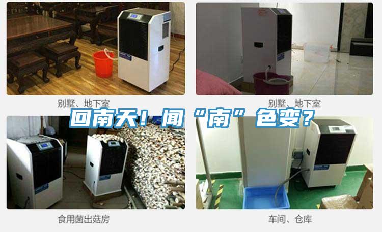 回南天！聞“南”色變？