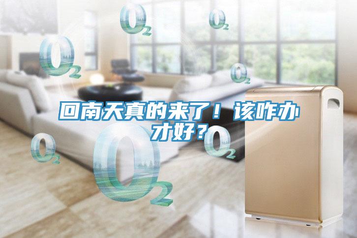 回南天真的來了！該咋辦才好？