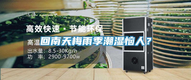回南天梅雨季潮濕惱人？