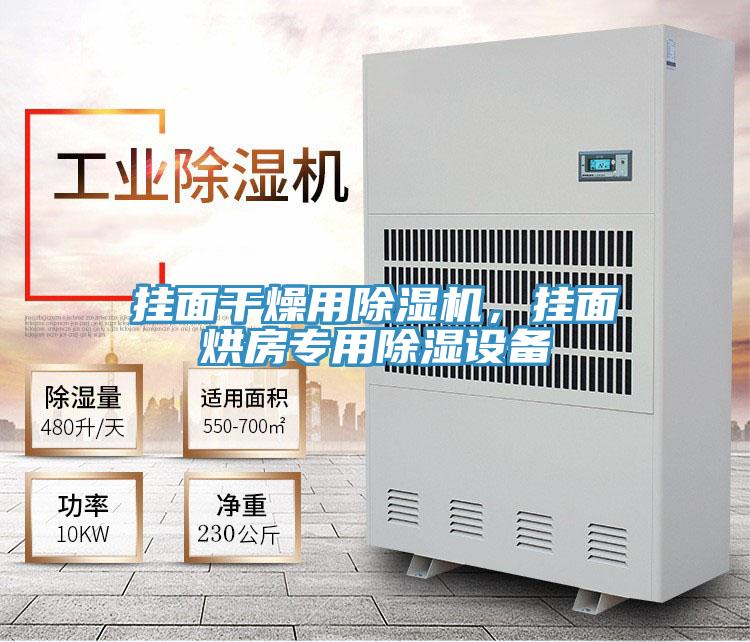 掛麵幹燥用草莓小视频黄色，掛麵烘房專用除濕設備