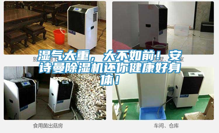 濕氣太重，大不如前！草莓视频APP在线草莓小视频黄色還你健康好身體！