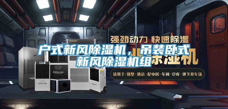 戶式新風草莓小视频黄色，吊裝臥式新風草莓小视频黄色組