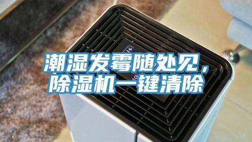 潮濕發黴隨處見，草莓小视频黄色一鍵清除