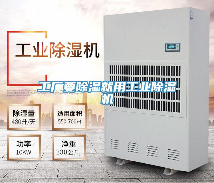 工廠要除濕就用工業草莓小视频黄色