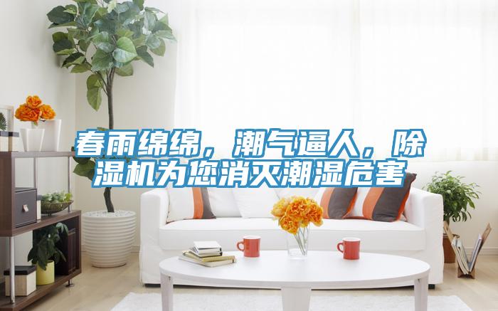 春雨綿綿，潮氣逼人，草莓小视频黄色為您消滅潮濕危害