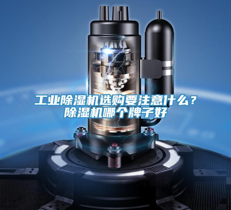 工業草莓小视频黄色選購要注意什麽？草莓小视频黄色哪個牌子好