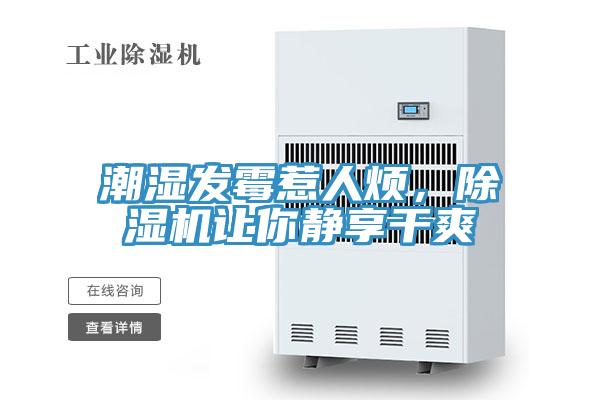 潮濕發黴惹人煩，草莓小视频黄色讓你靜享幹爽