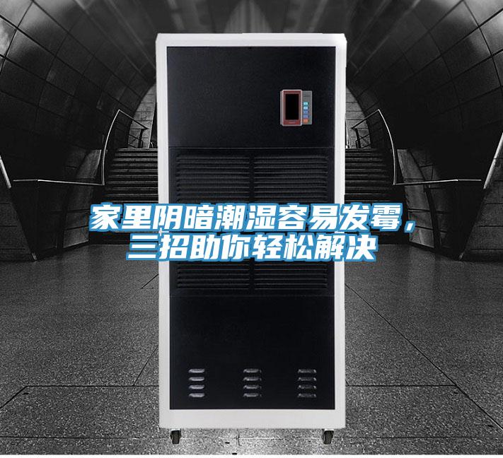 家裏陰暗潮濕容易發黴，三招助你輕鬆解決