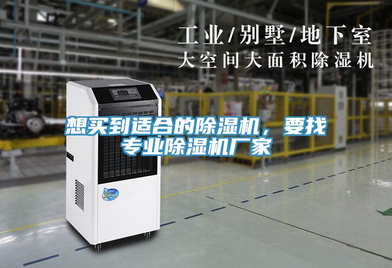 想買到適合的草莓小视频黄色，要找專業草莓小视频黄色廠家