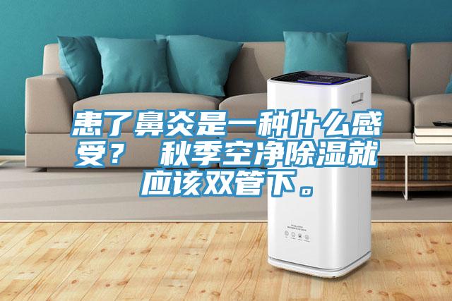 患了鼻炎是一種什麽感受？ 秋季空淨除濕就應該雙管下。