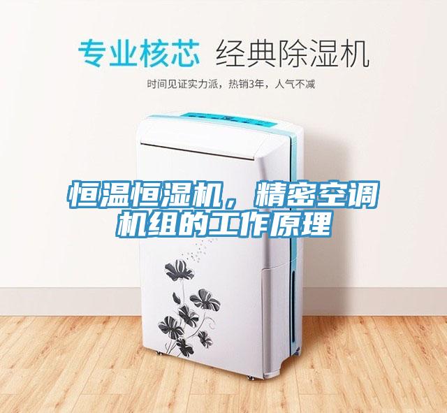 恒溫恒濕機，精密空調機組的工作原理