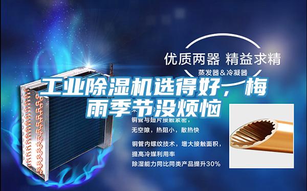 工業草莓小视频黄色選得好，梅雨季節沒煩惱