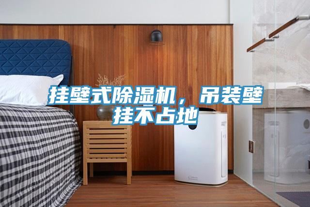 掛壁式草莓小视频黄色，吊裝壁掛不占地