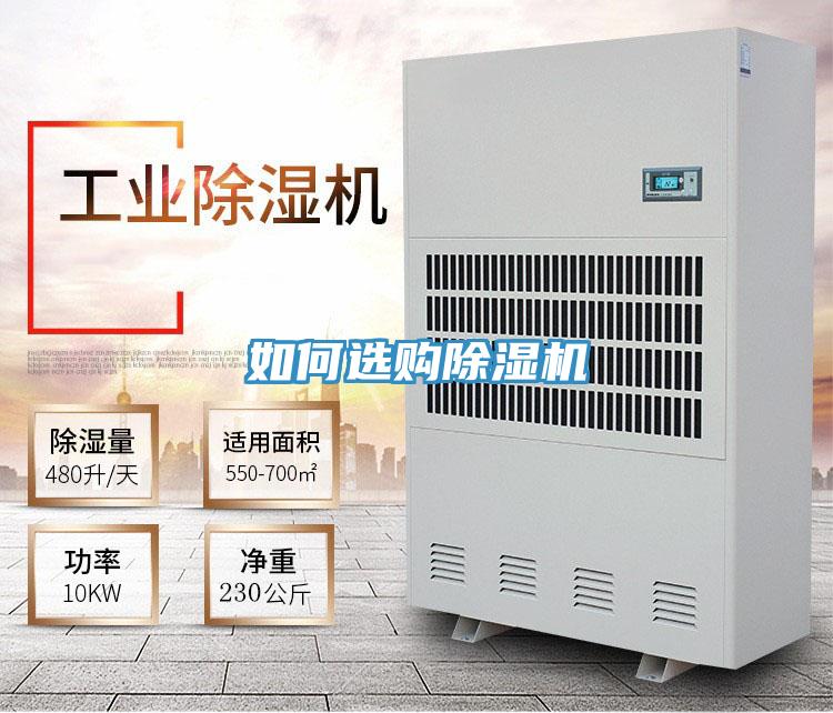 如何選購草莓小视频黄色