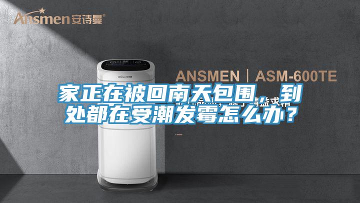 家正在被回南天包圍，到處都在受潮發黴怎麽辦？