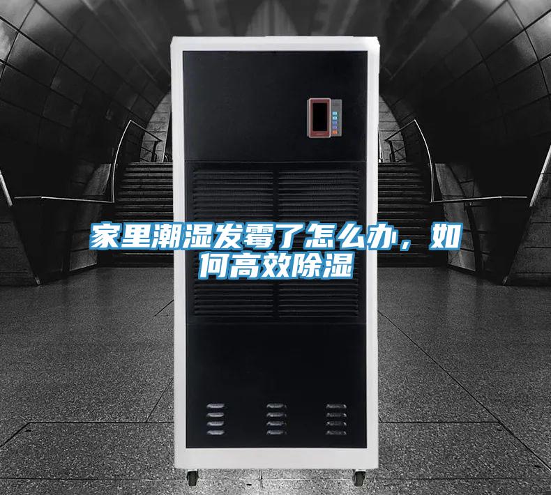 家裏潮濕發黴了怎麽辦，如何高效除濕