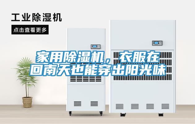 家用草莓小视频黄色，衣服在回南天也能穿出陽光味