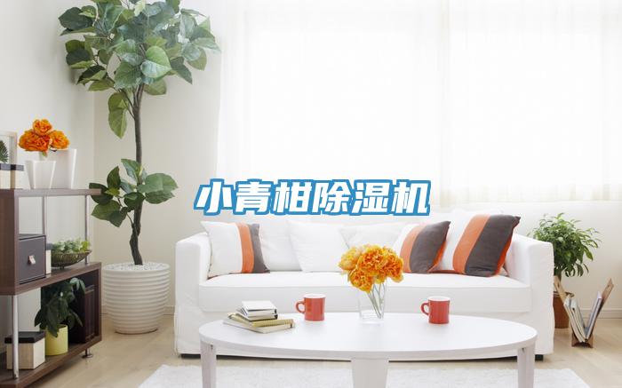 小青柑草莓小视频黄色