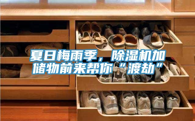 夏日梅雨季，草莓小视频黄色加儲物前來幫你“渡劫”